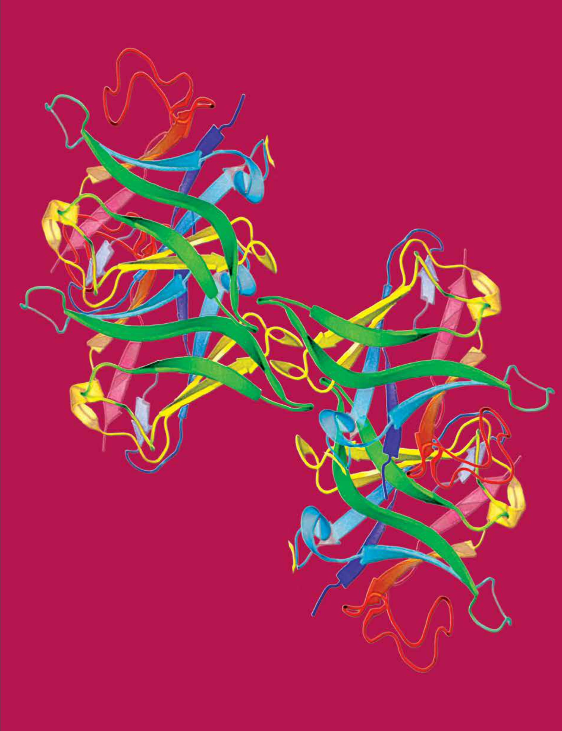 Faculty of Biology_Prof Yoram Reiter-1