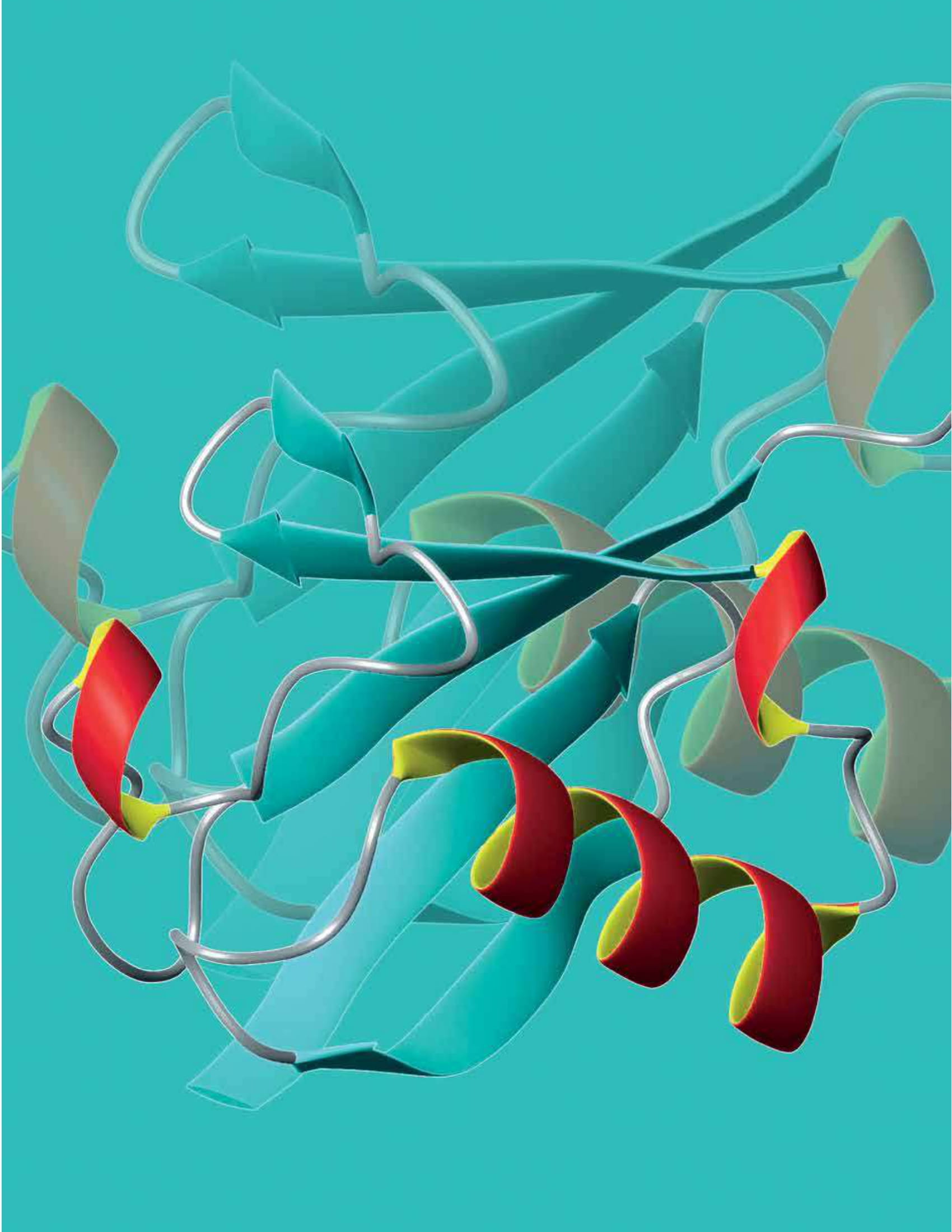 Faculty of Chemistry_Prof Aaron Ciechanover & Prof Avram Hershko_Nobel Laureates-1