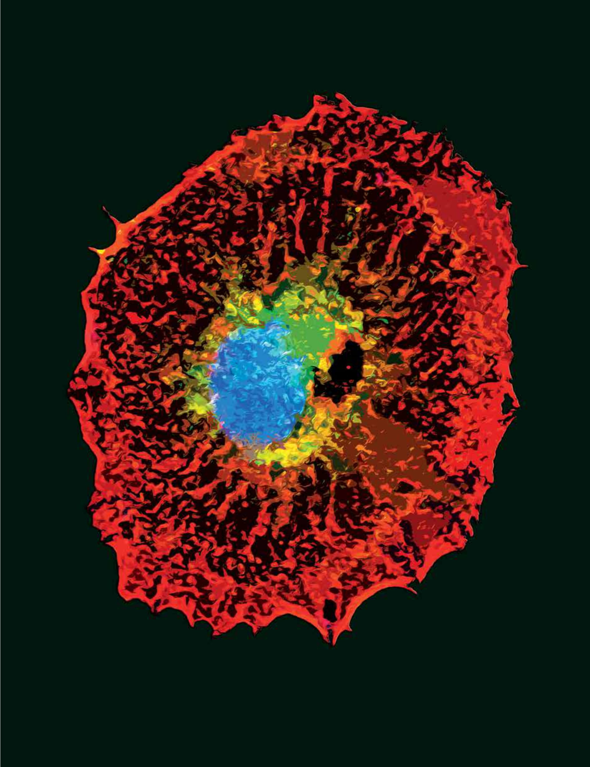 Faculty of Medicine_Prof Lior Gepstein-1