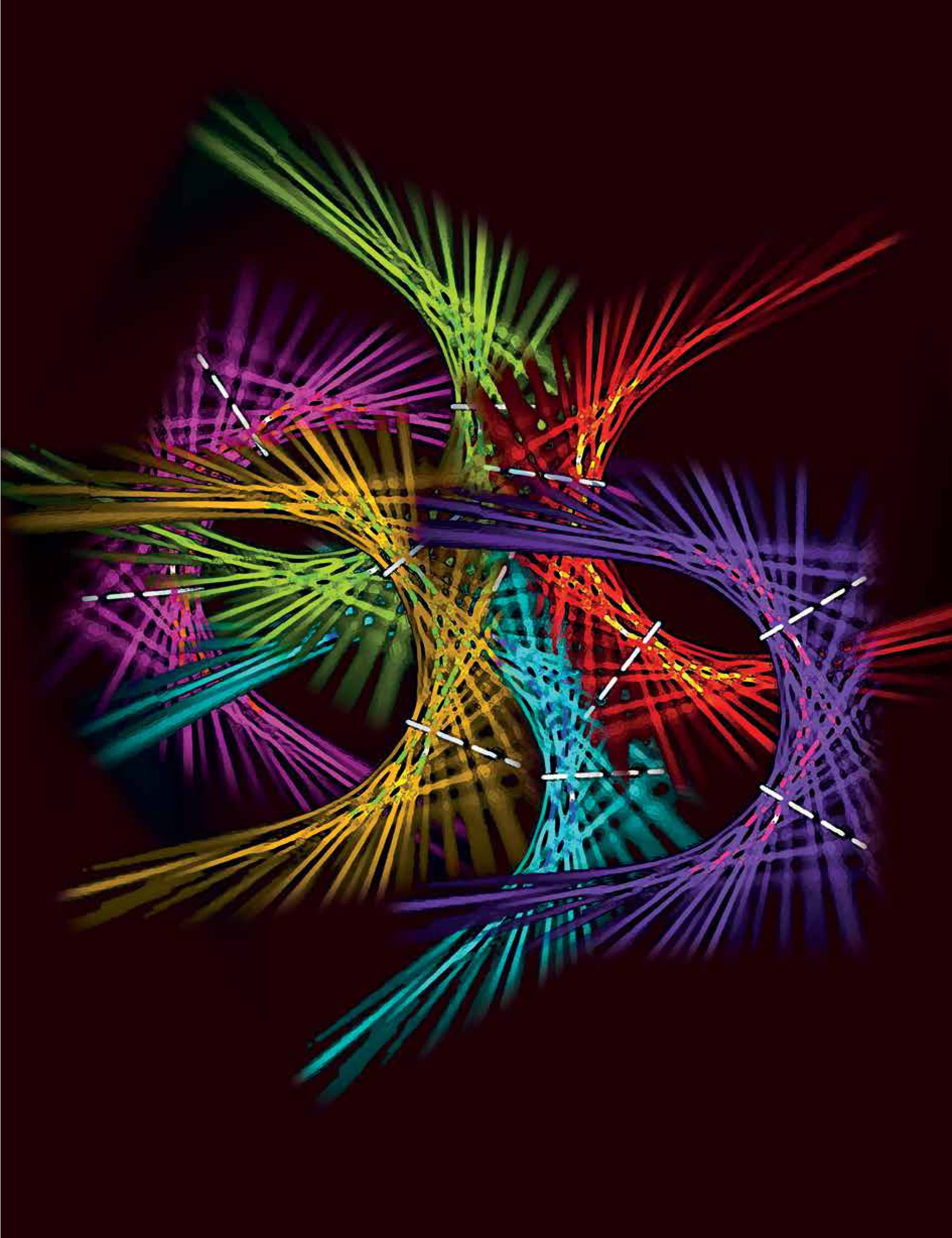 Faculty of Physics_Prof Mordechai Segev-1