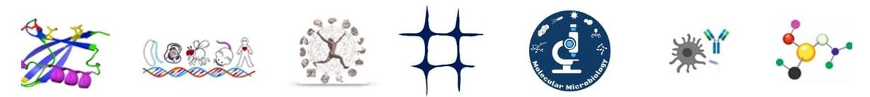 Faculty of Medicine_Research_Vertical